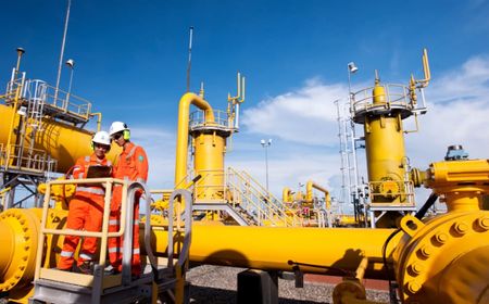 PGN Siap Perluas Infrastruktur dan Utilisasi Gas Bumi Nasional