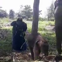 Nia Korban Jerat 14 Tahun Lalu Melahirkan di PLG Minas Riau