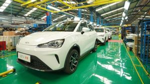 Indonesia Is Believed To Be The Main Determinant Of The World Electric Car Industry