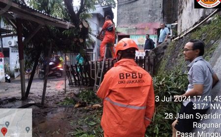 Hujan Deras Guyur Jakarta Sebabkan 12 Pohon Tumbang Hingga Timpa Bajaj