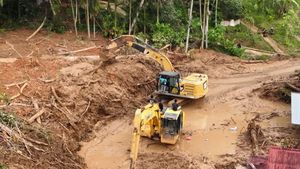 Setelah Banjir Sumatera, Menhut Janji Bersih-bersih Pembalakan Liar, Siapkan ‘Bedah Total’ Tata Kelola Hutan