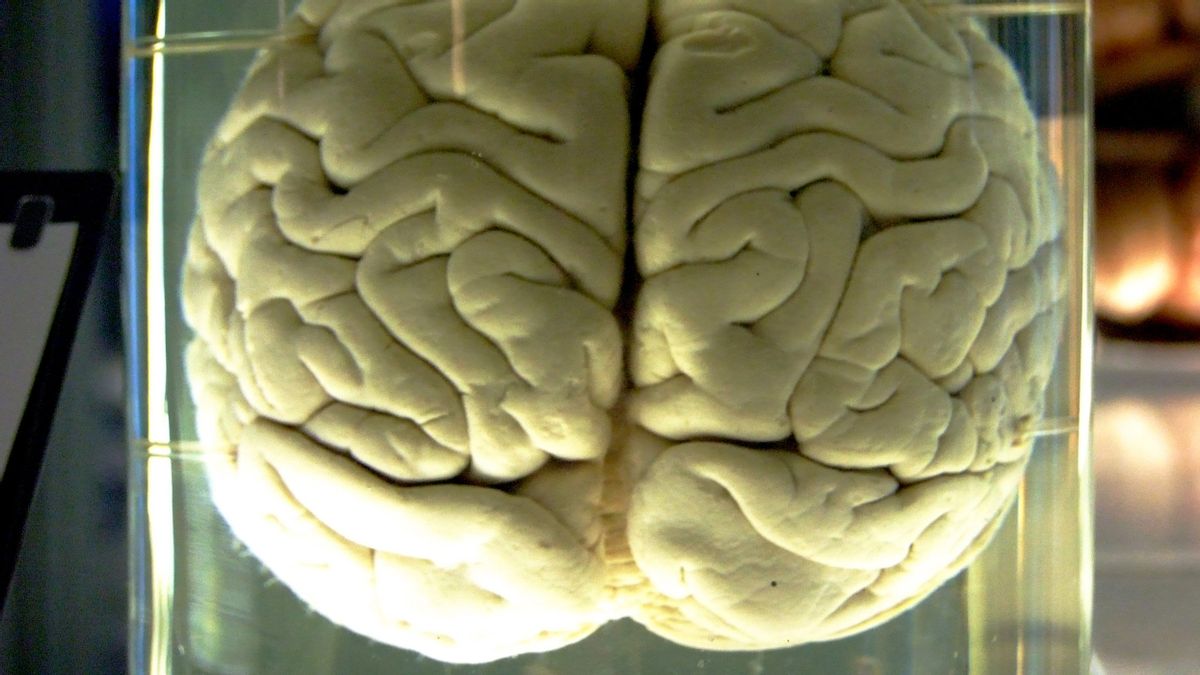The Largest Study Reveals the Trace of Psychedelics in the Brain, the Pattern is Actually Similar