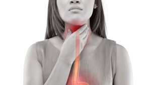 Sangat Manjur! Begini Cara Menghilangkan Rasa Mengganjal di Tenggorokan Akibat Asam Lambung