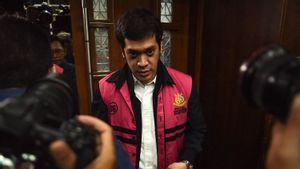 Kuasa Hukum Jelaskan Alasan Kerry Riza Minta Abolisi ke Prabowo