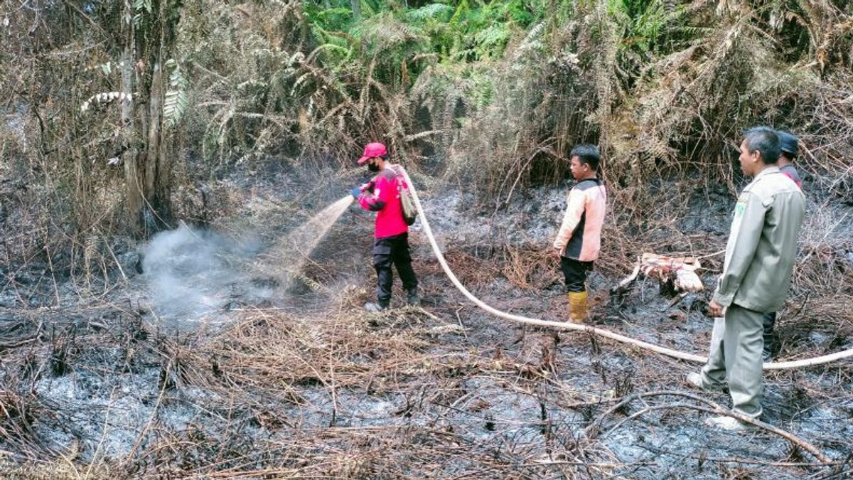 BMKG Detects 56 Hotspots in the East Kalimantan Region