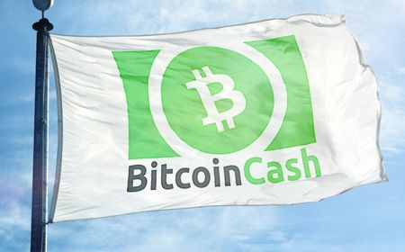 Bitcoin Cash (BCH) Dapat Pembaruan, Ini yang Harus Kamu Tahu!