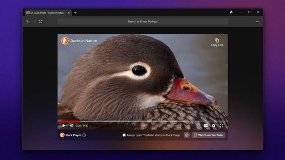 DuckDuckGoついにWindows用のWebブラウザを持ってきてください、これが機能です!