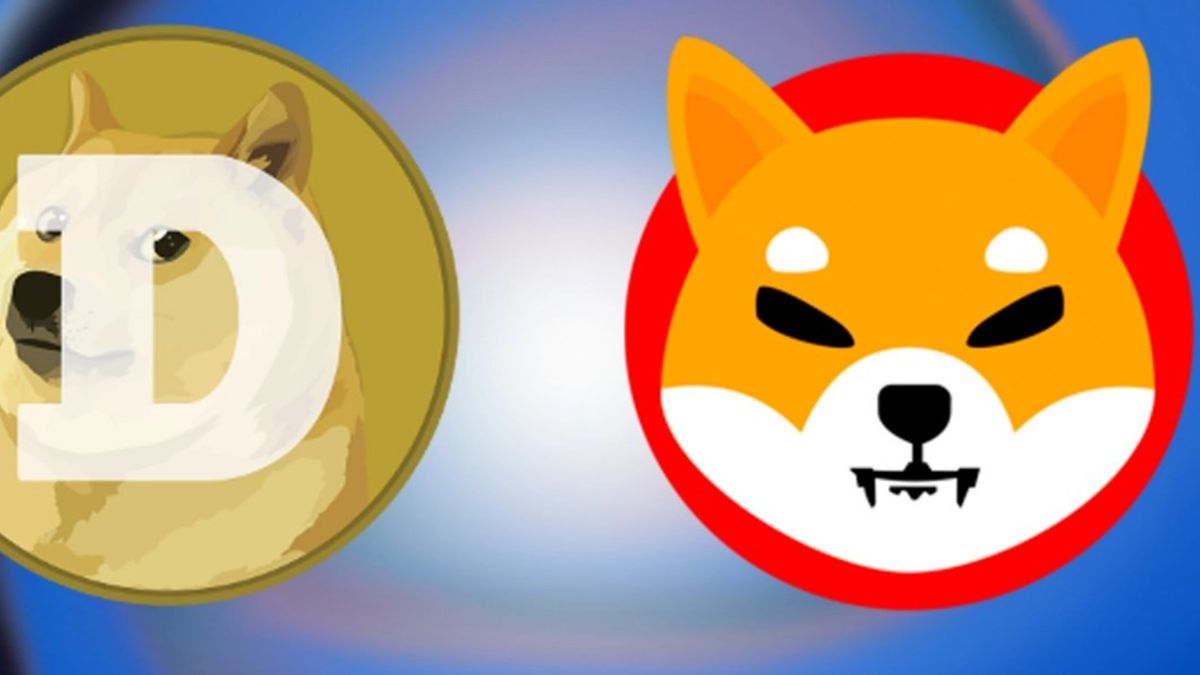 Mau Beli Dogecoin atau Shiba Inu? Begini Perbandingan Keduanya