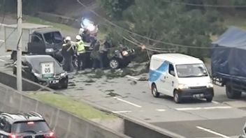 ポンドックランジ有料道路のRingsek車は、単一の事故の犠牲者ではなく、倒木の犠牲者です
