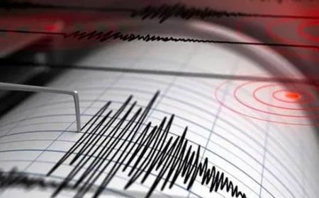 Gempa Hebat Magnitudo 6,6 Guncang Halmahera Barat, Terasa hingga Manado