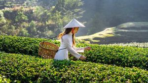 La visite de Bill Gates dans la ville de Da Nang se réfère pour une tournée de thé méditation