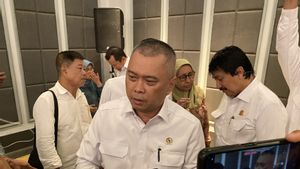 Menhub Dudy Purwagandhi Ungkap Alasan Penundaan Revisi TBA Tiket Pesawat