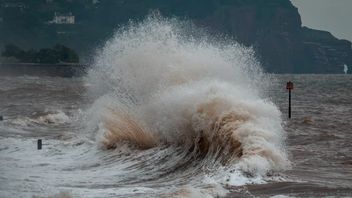  Hasil Riset BRIN: Alat Deteksi Dini Tsunami Tak Efektif
