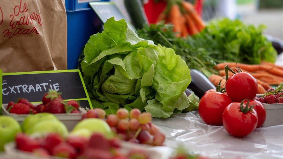 Bagaimana Cara Memilih Sayuran yang Baik? Lakukan 10 Pengecekan Ini Agar Tahu Mana yang Segar dan Menyehatkan