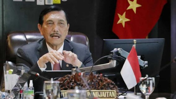 Soal UU Cipta Kerja, Luhut: Cucu Saya Juga Mengkritik