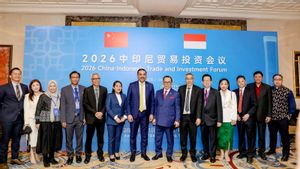 Indonesia Genjot Investasi dari China, UMKM Didorong Masuk Rantai Pasok Global