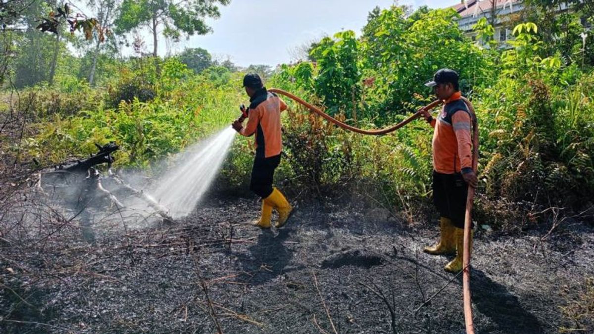 41 Hotspots Detected, East Kalimantan Still Hit By Forest And Land Fires In The Middle Of Rainy Season