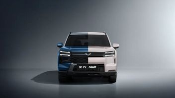 Dibanderol Rp141 Jutaan, Wuling Xingguang 560 Tawarkan Tiga Pilihan Powertrain