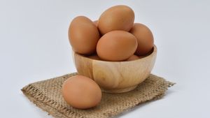 5 Efek Negatif Makan Telur Ayam Berlebihan, Kaum Kolesterol Tinggi Mundur Dulu