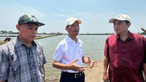 KKP Ready To Facilitate Seaweed-Based Biostimulan Circular Permits