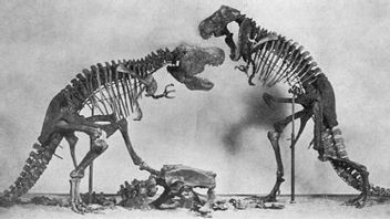 Jejak Habitat Dinosaurus dan Wilayah Paling Berbahaya dalam Sejarah Bumi