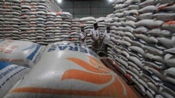 米輸入の多くのポレミクス、ブロッグジャバール倉庫のほこりっぽい黄変米の数千トン