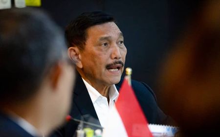 Luhut Akan Serap Lebih dari 11 Ribu Tenaga Kerja di Program Padat Karya Terumbu Karang