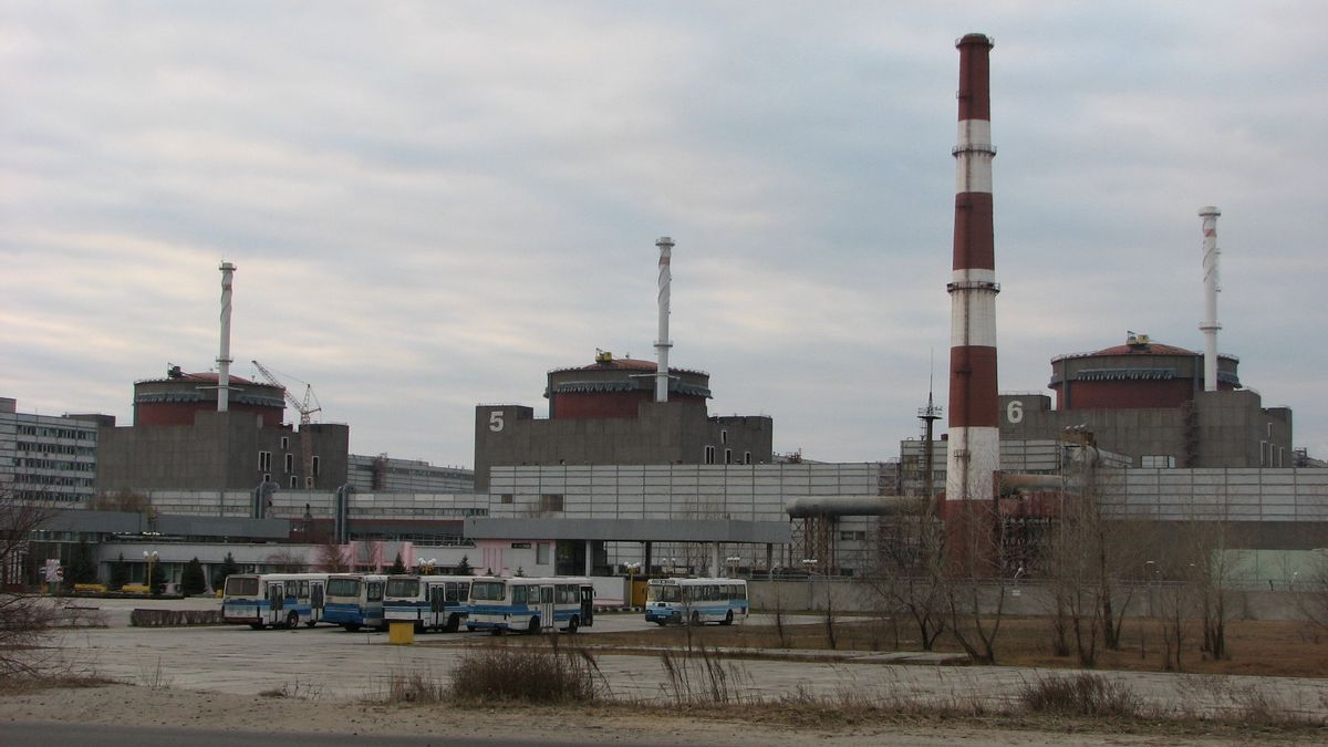 ロシアは、IAEAが審査を実施したいにもかかわらず、国連がウクライナのザポリージャ原子力発電所への訪問を拒否していると主張している