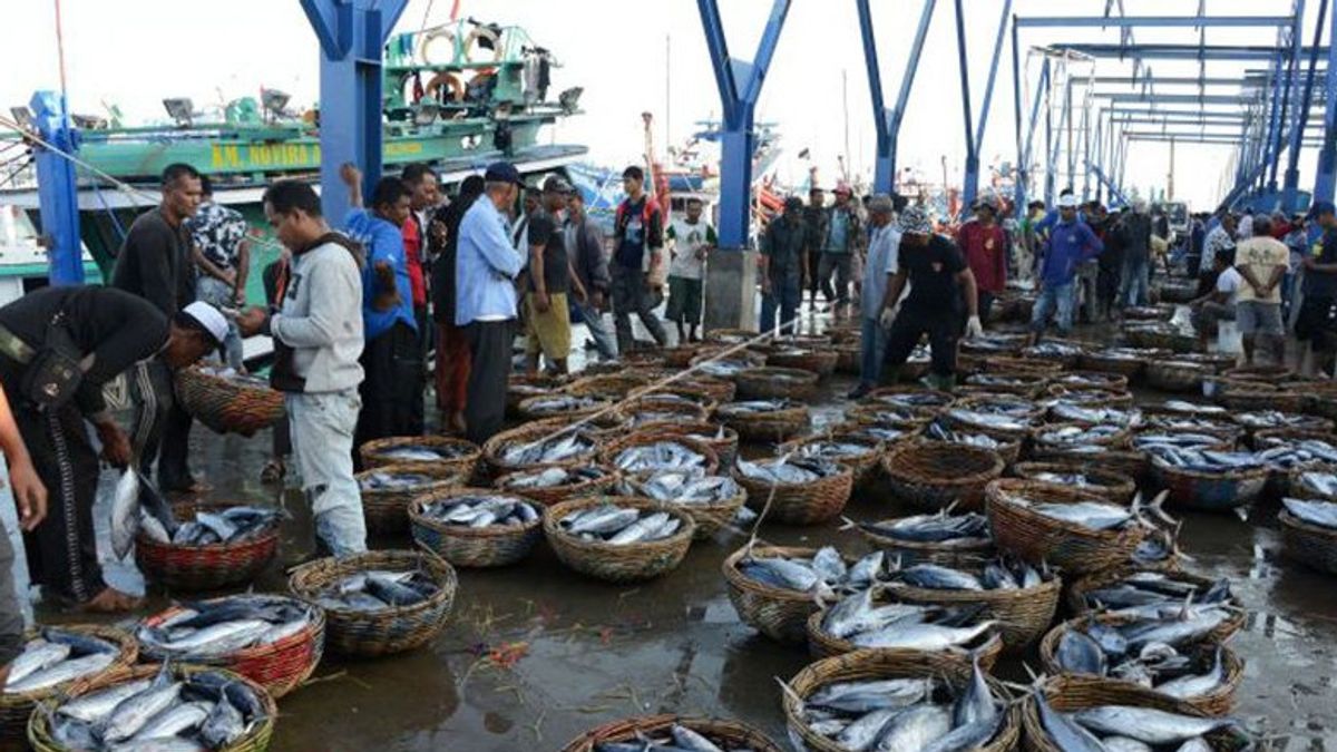 BPS: Ikan Tongkol Jadi Penyumbang Inflasi Tertinggi Aceh