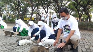 Kasih Makan Kucing Liar, Gubernur Anies: Rayakan Cinta Kasih untuk Kucing dan Anjing