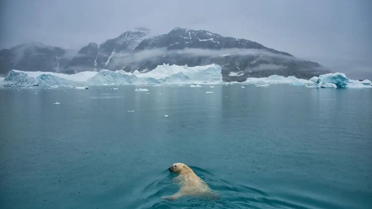 格陵兰岛下雨，因为国家大小的冰盖融化，科学家开始担心 
