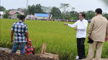 Prabowo Will Continue Food Estate That Gets Leaning Highlights
