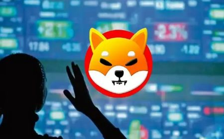 Tim Shiba Inu Beri Peringatan Soal Penipuan Airdrop SHIB