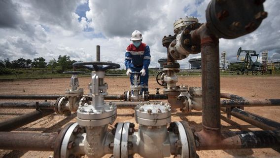 Pembangunan Pipa Gas Senipah–Balikpapan Capai 80 Persen