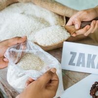 Zakat Profesi: Pengertian, Ketentuan, dan Cara Menghitungnya