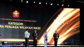 Complete List Of Presidential Soldiers Recipient Of Sudirman Award 2023