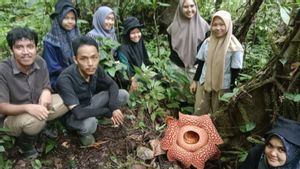 Dua Bunga Rafflesia Mekar Sempurna di Agam Sumbar, Turis Asal Jerman Bahkan Datang Melihat