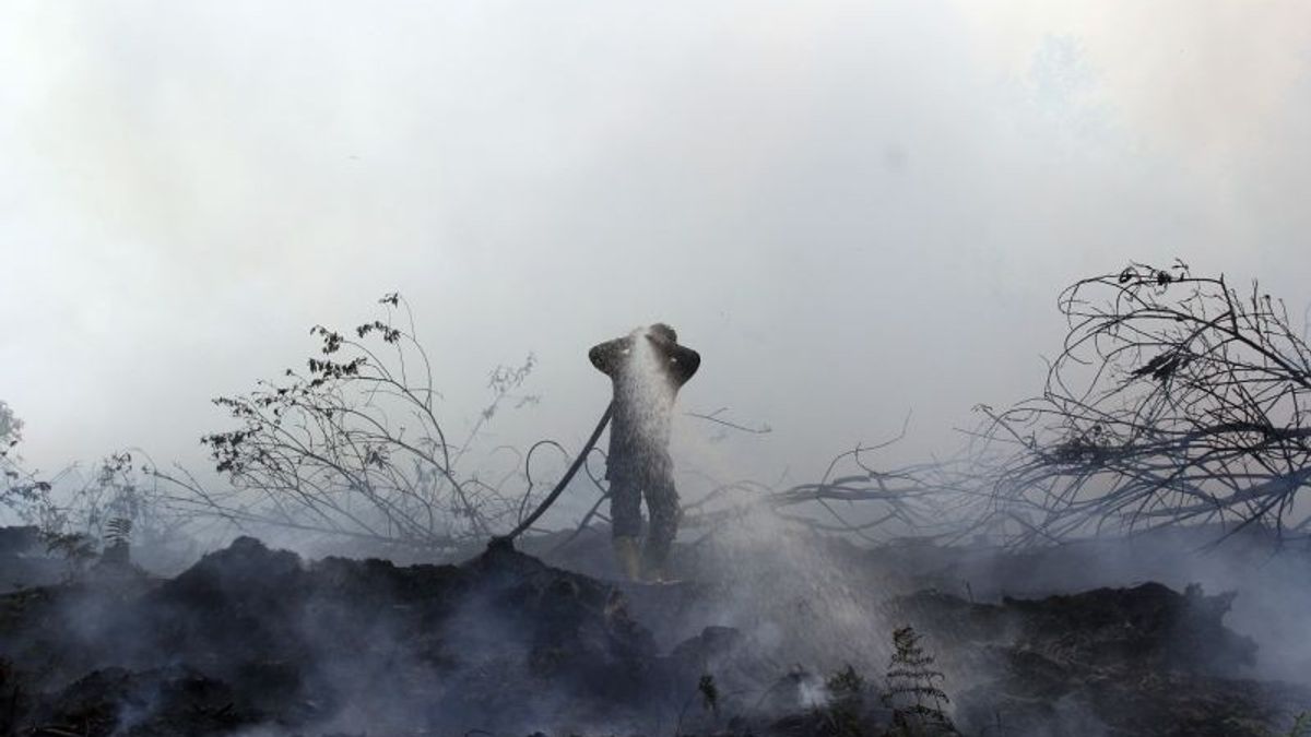 Difficulty Officers Put Out 70 Hectare Forest Fires In Dumai Riau