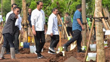 Jokowi Ensures Subsidized Fertilizer Distribution Is Fully Supervised So As Not To Move To Not Farmers