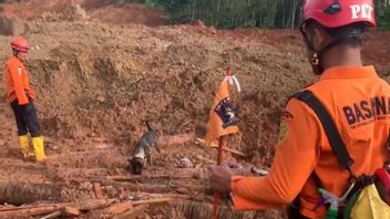 SAR Team Deploys Heavy Tracking Dogs To Search For Victims Of Cilacap Landslide