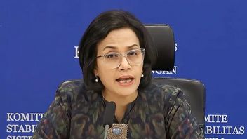 Sri Mulyani: Indonesia Needs To Accelerate Transition To New And Renewable Energy