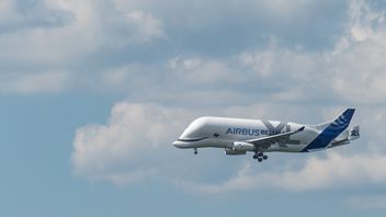 エアバスは、人気のベルーガXL「クジラ飛行機」をリースする計画