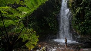 KLHK: International Falls Day Momentum To Guard Lestari Falls