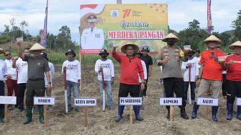 Minister Of Agriculture Supports Food Free Movement In West Sulawesi