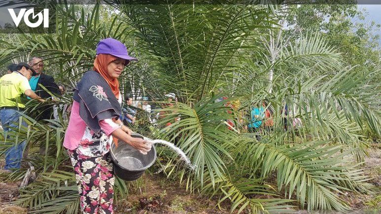 560 Dari 718 Perusahaan Bersertifikasi ISPO, Gapki Komitmen Wujudkan ...