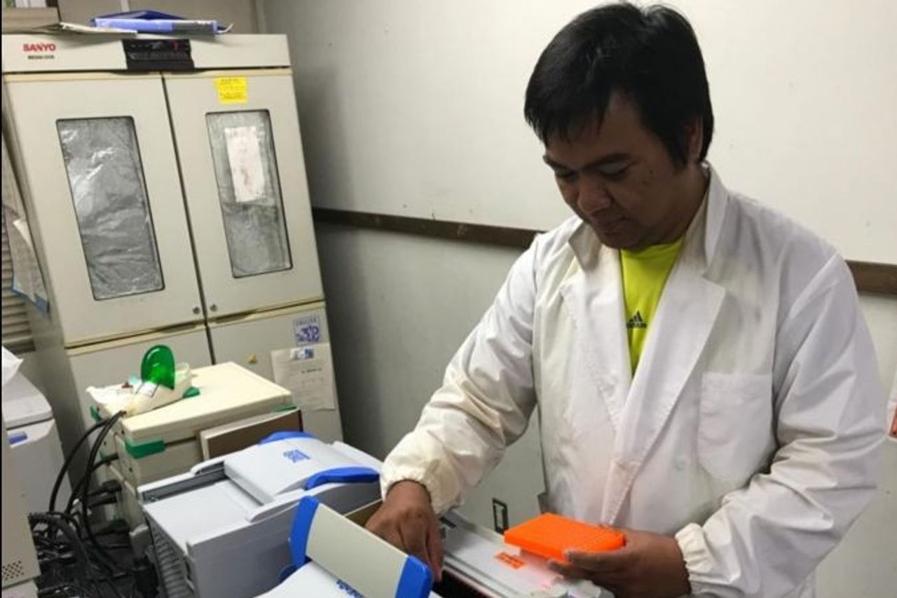 ブリンは家畜を直接食べることができるシルクウードからFMDワクチンを開発しました