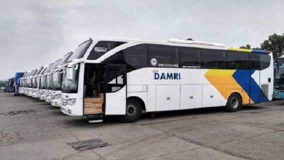 Damri dan Perum PPD Bakal Dilebur, Wamen BUMN: Karena Fungsinya Sama