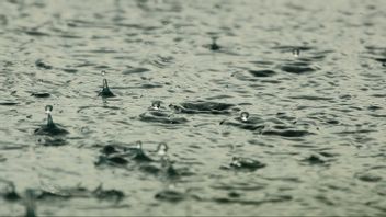 Prakiraan Cuaca BMKG: Jakarta Diguyur Hujan Pada Kamis 16 September