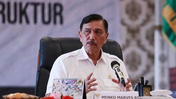 Omicron Enters Indonesia, Luhut Considers Extending Quarantine Period To 14 Days