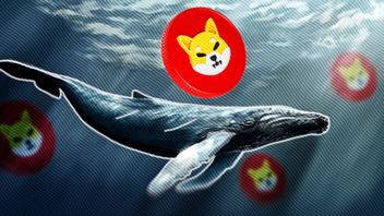 This Crypto Whale Nyerok Shiba Inu (SHIB) Is Worth IDR 2.3 Trillion